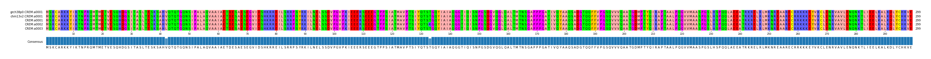 Multiple Alignments (by translate haplotype frequency)