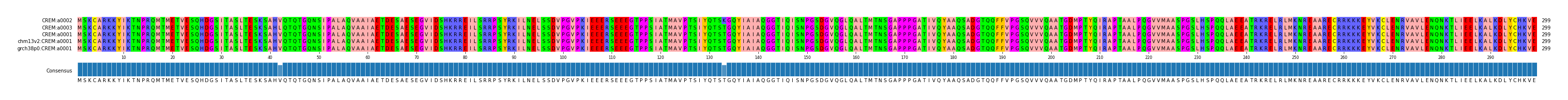 Multiple Alignments (by translate haplotype similarity)