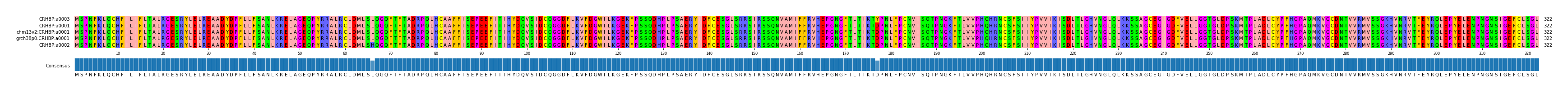Multiple Alignments (by translate haplotype similarity)