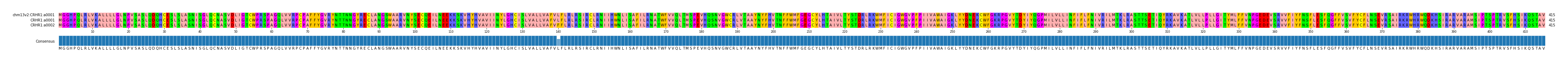 Multiple Alignments (by translate haplotype similarity)