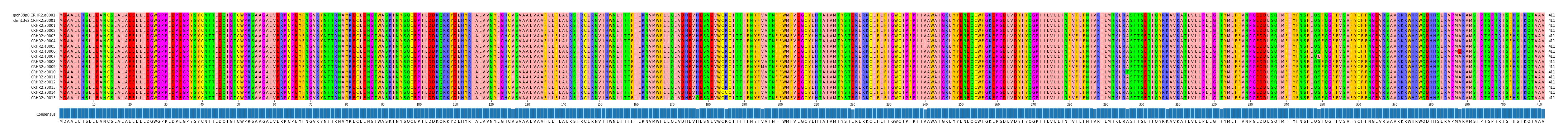 Multiple Alignments (by translate haplotype frequency)
