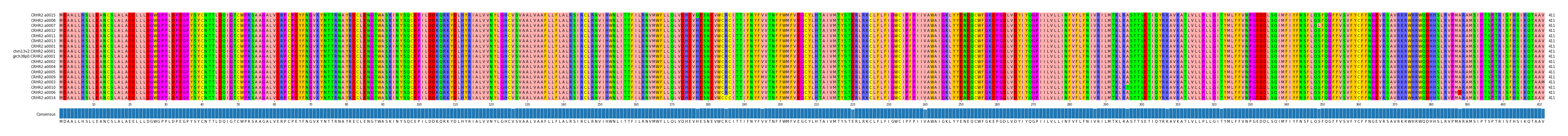 Multiple Alignments (by translate haplotype similarity)
