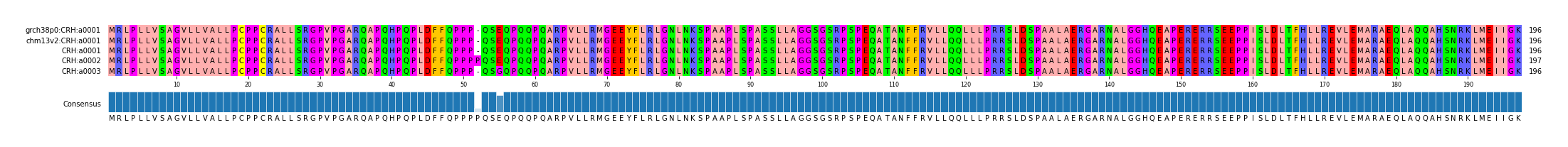 Multiple Alignments (by translate haplotype frequency)