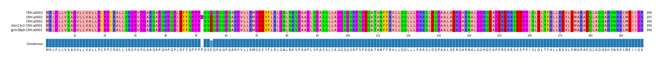 Multiple Alignments (by translate haplotype similarity)