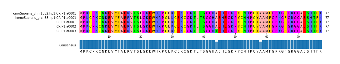 Multiple Alignments (by translate haplotype frequency)