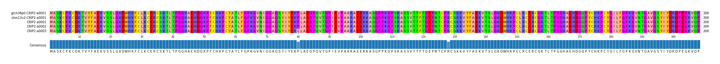Multiple Alignments (by translate haplotype frequency)