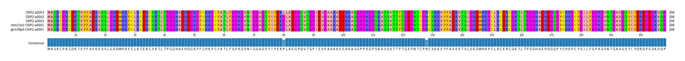 Multiple Alignments (by translate haplotype similarity)