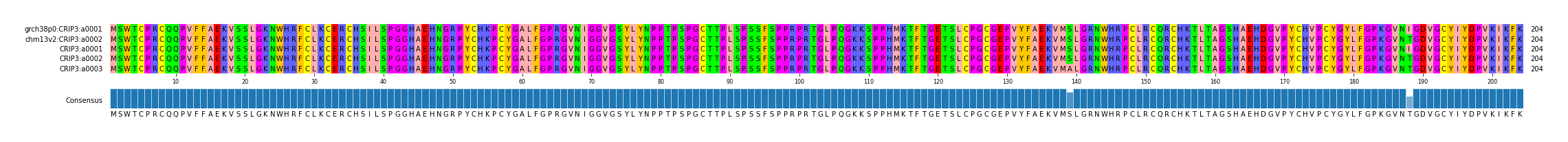 Multiple Alignments (by translate haplotype frequency)