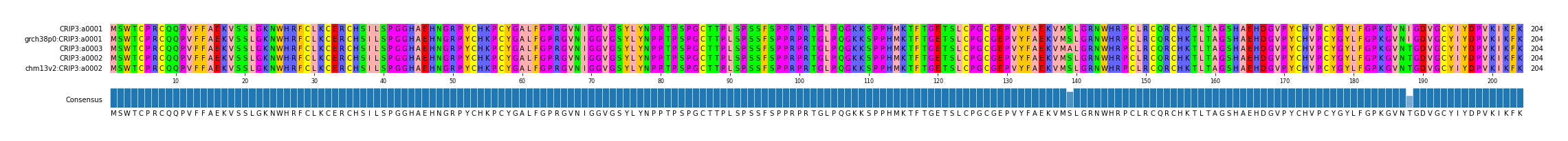 Multiple Alignments (by translate haplotype similarity)
