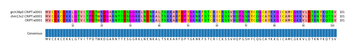 Multiple Alignments (by translate haplotype similarity)