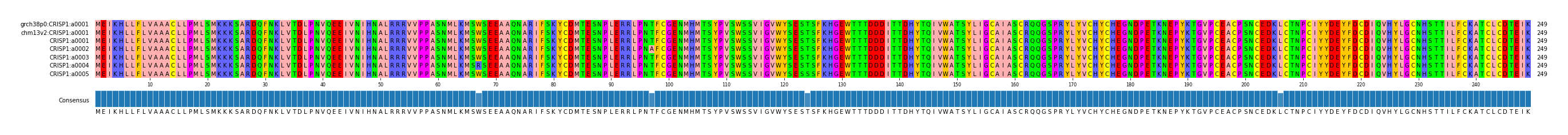 Multiple Alignments (by translate haplotype frequency)