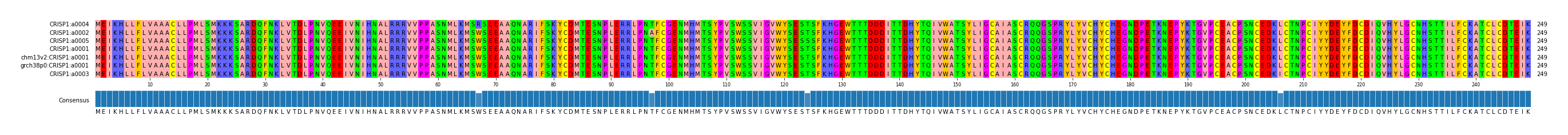 Multiple Alignments (by translate haplotype similarity)
