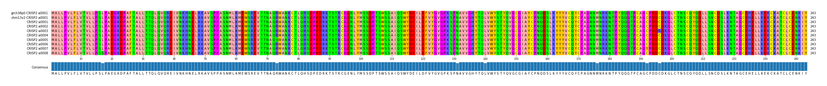 Multiple Alignments (by translate haplotype frequency)