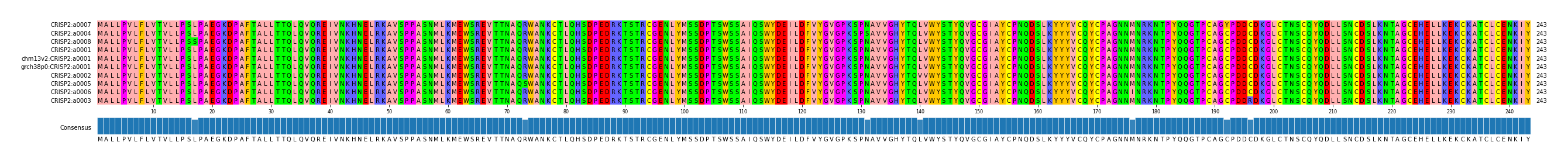 Multiple Alignments (by translate haplotype similarity)