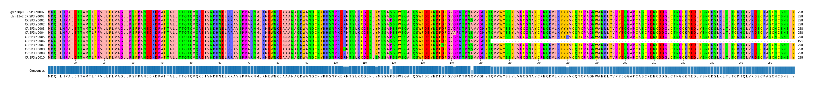 Multiple Alignments (by translate haplotype frequency)
