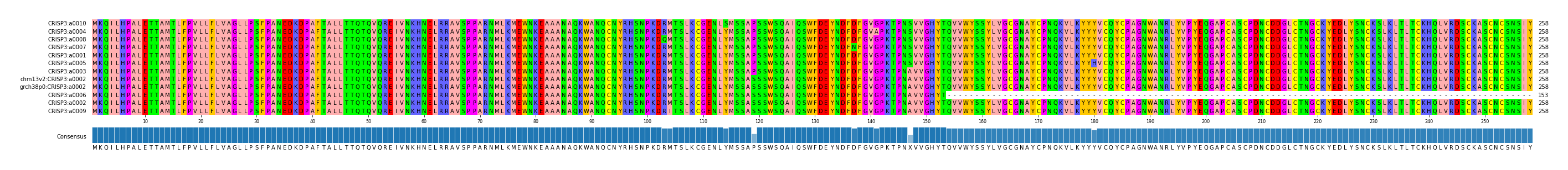 Multiple Alignments (by translate haplotype similarity)