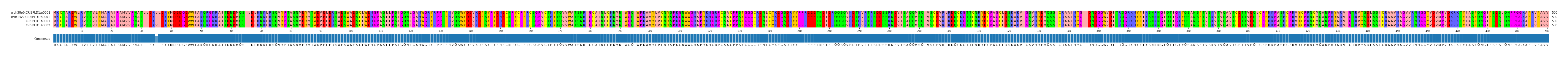 Multiple Alignments (by translate haplotype similarity)