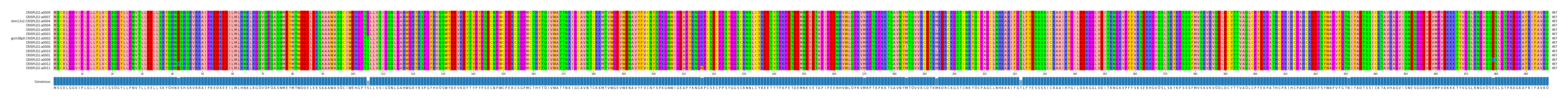 Multiple Alignments (by translate haplotype similarity)