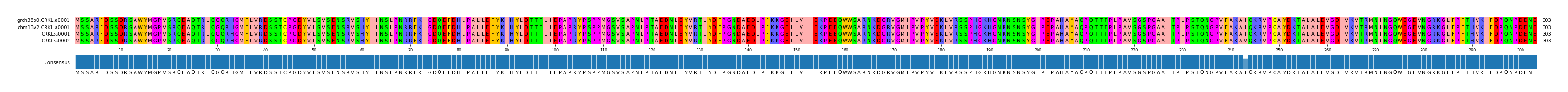Multiple Alignments (by translate haplotype similarity)