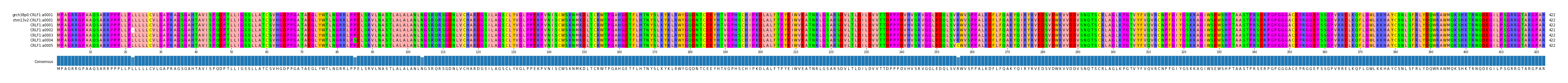 Multiple Alignments (by translate haplotype frequency)