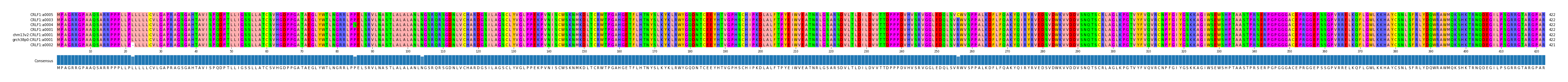Multiple Alignments (by translate haplotype similarity)