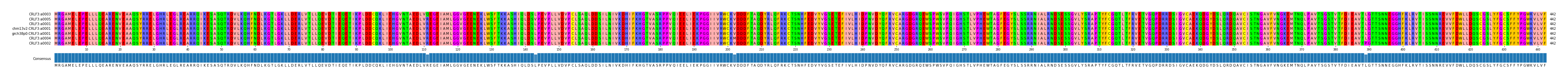 Multiple Alignments (by translate haplotype similarity)