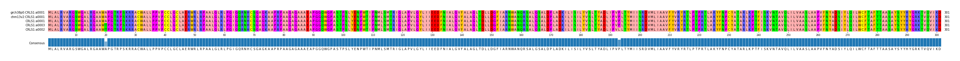 Multiple Alignments (by translate haplotype similarity)