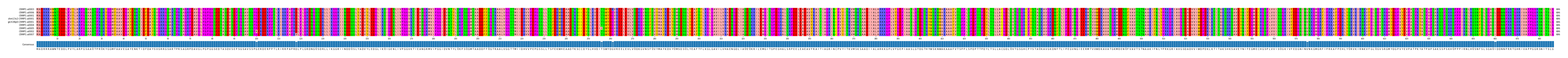 Multiple Alignments (by translate haplotype similarity)