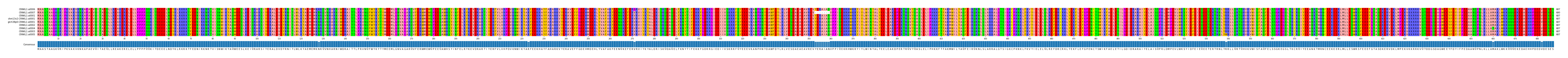 Multiple Alignments (by translate haplotype similarity)