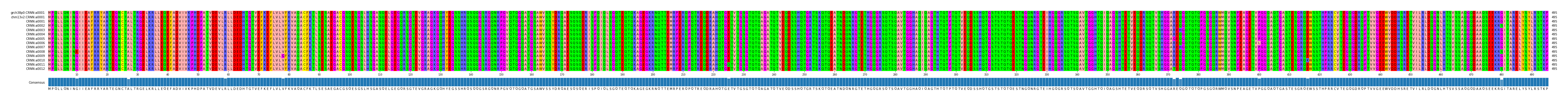 Multiple Alignments (by translate haplotype frequency)