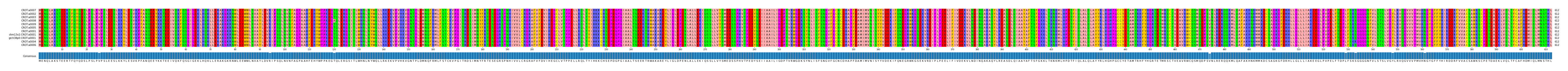 Multiple Alignments (by translate haplotype similarity)