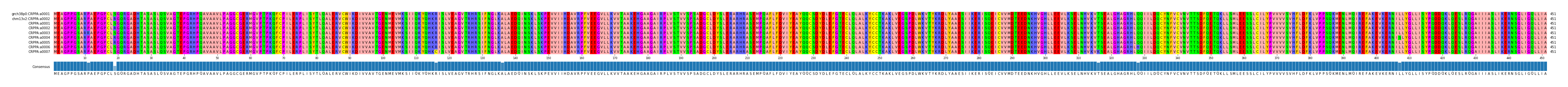 Multiple Alignments (by translate haplotype frequency)