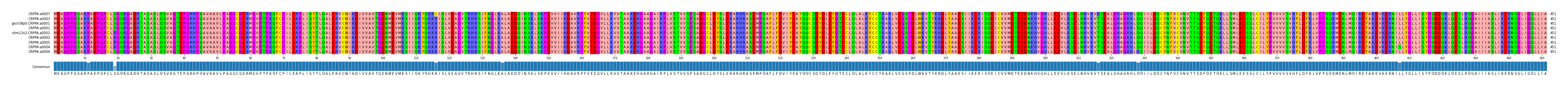 Multiple Alignments (by translate haplotype similarity)
