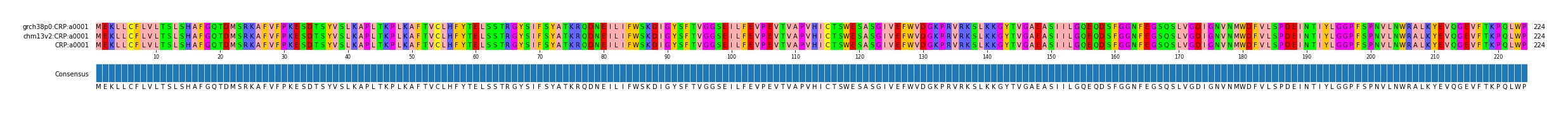 Multiple Alignments (by translate haplotype similarity)