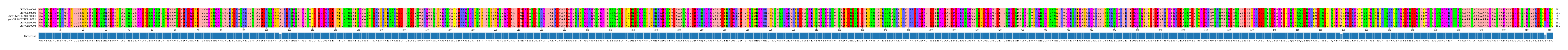 Multiple Alignments (by translate haplotype similarity)