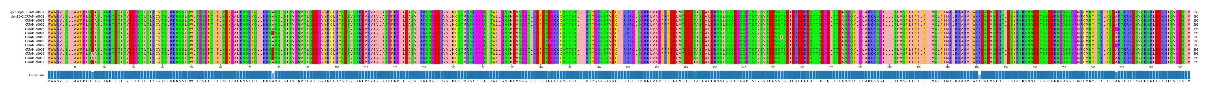 Multiple Alignments (by translate haplotype frequency)