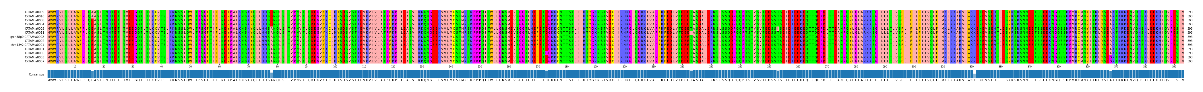 Multiple Alignments (by translate haplotype similarity)