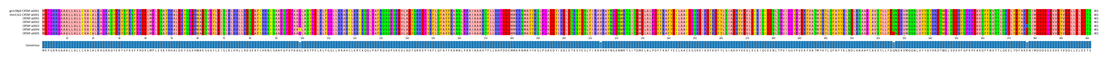 Multiple Alignments (by translate haplotype frequency)