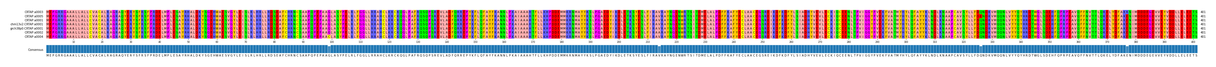 Multiple Alignments (by translate haplotype similarity)