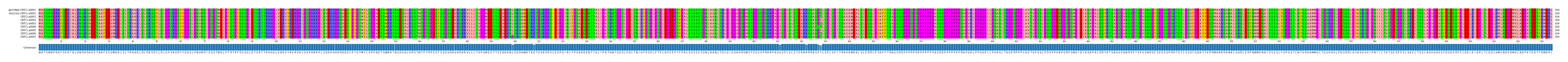 Multiple Alignments (by translate haplotype frequency)