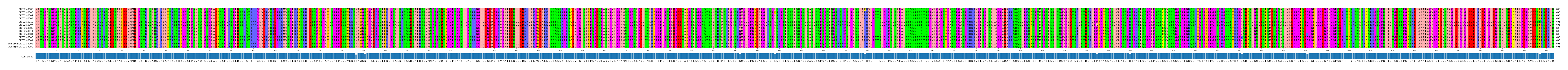 Multiple Alignments (by translate haplotype similarity)