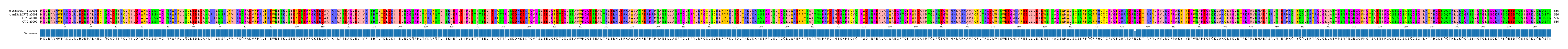 Multiple Alignments (by translate haplotype similarity)
