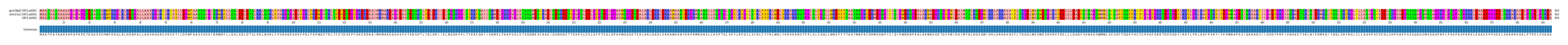 Multiple Alignments (by translate haplotype similarity)