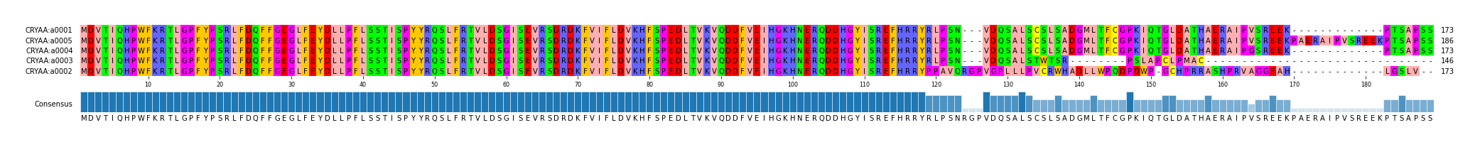 Multiple Alignments (by translate haplotype similarity)