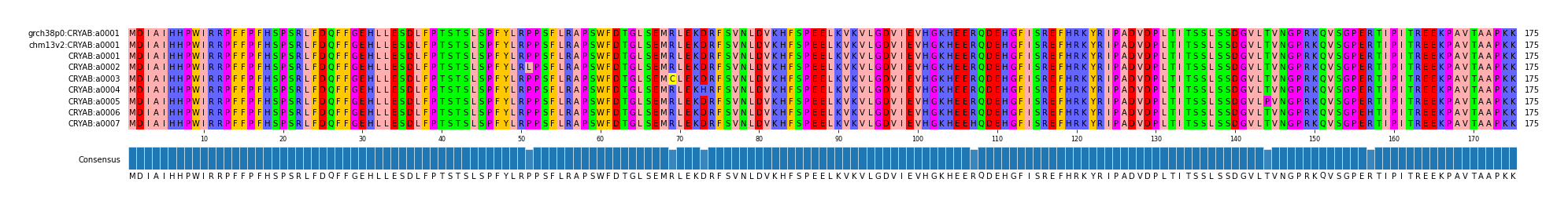 Multiple Alignments (by translate haplotype frequency)