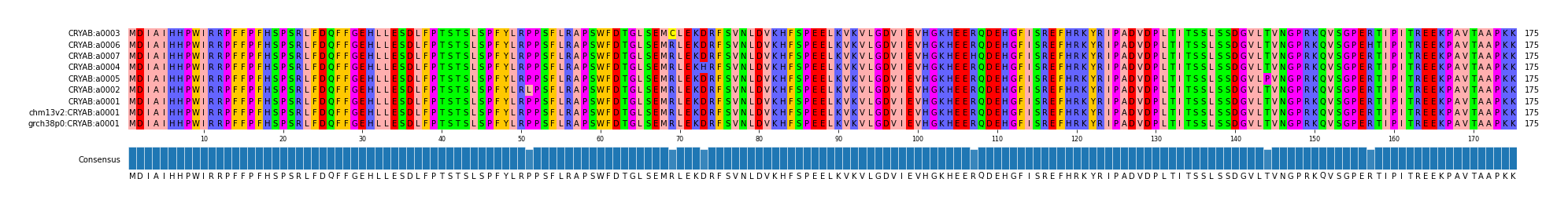 Multiple Alignments (by translate haplotype similarity)