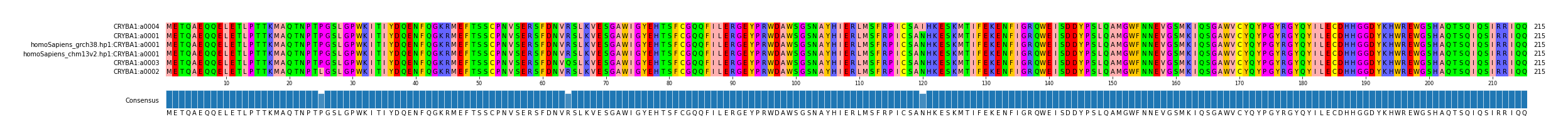 Multiple Alignments (by translate haplotype similarity)