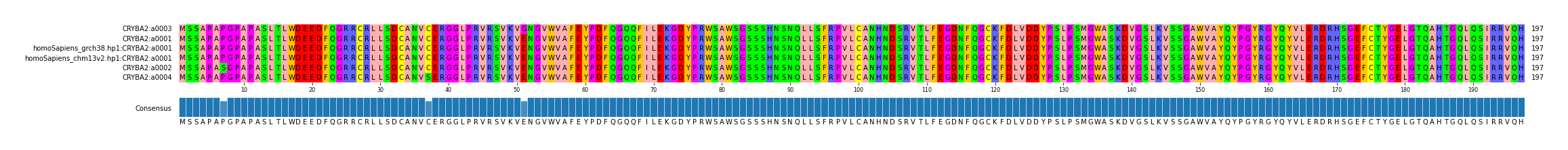 Multiple Alignments (by translate haplotype similarity)