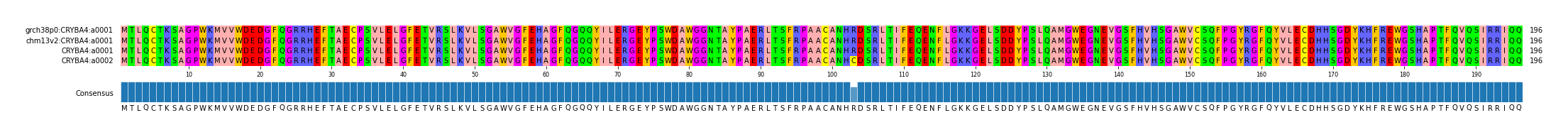 Multiple Alignments (by translate haplotype similarity)