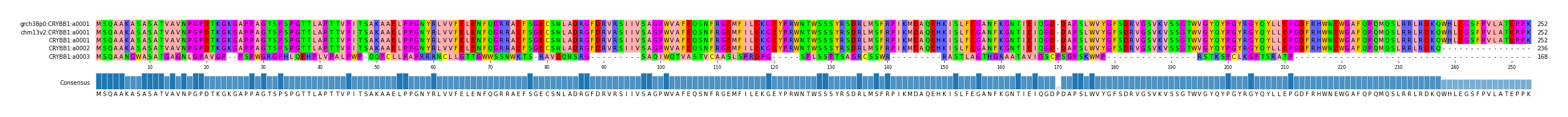 Multiple Alignments (by translate haplotype similarity)